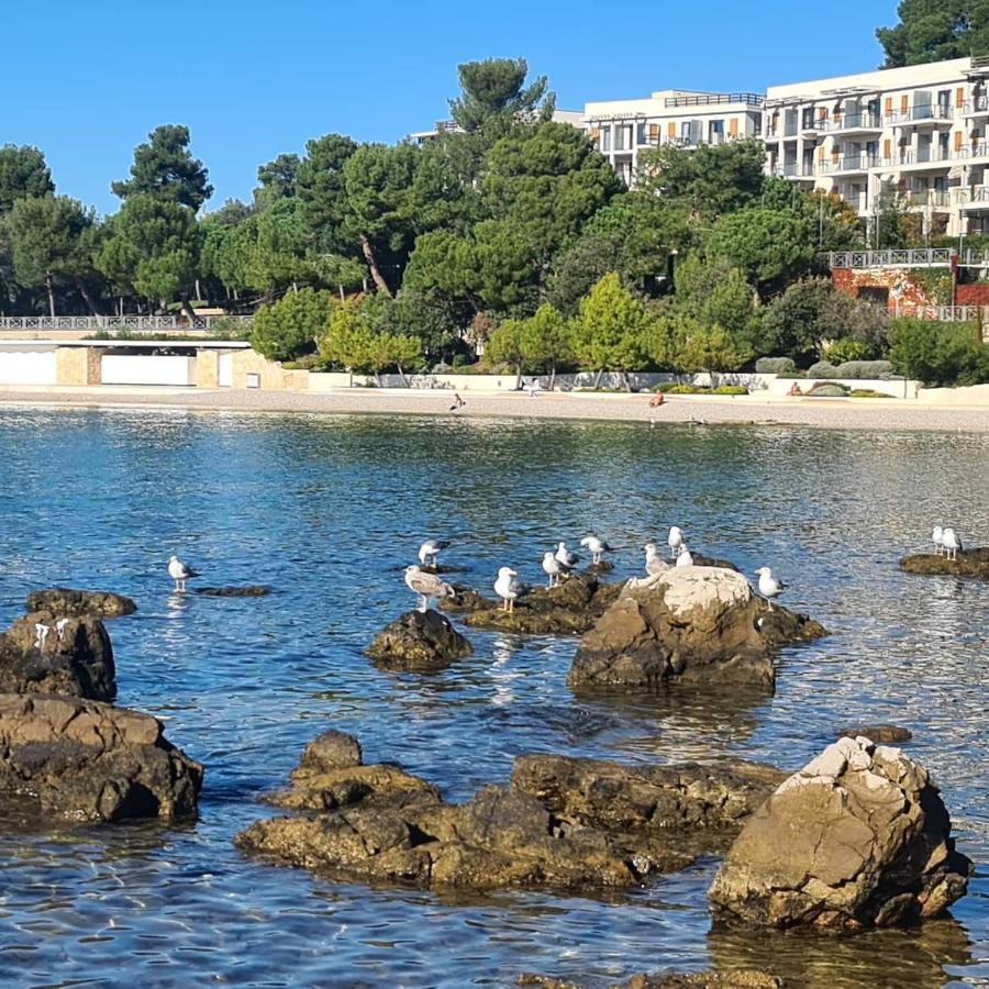Vila Tena Rovinj Croatia Экстерьер фото