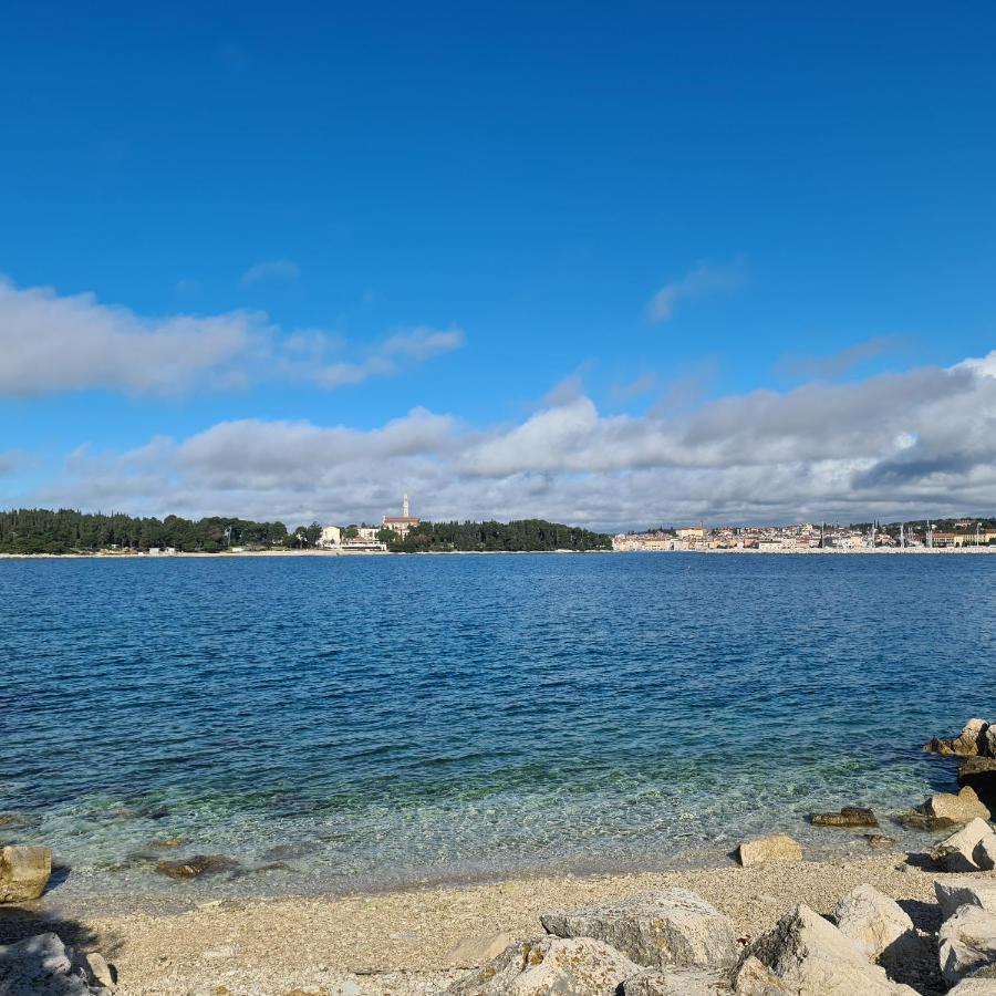 Vila Tena Rovinj Croatia Экстерьер фото