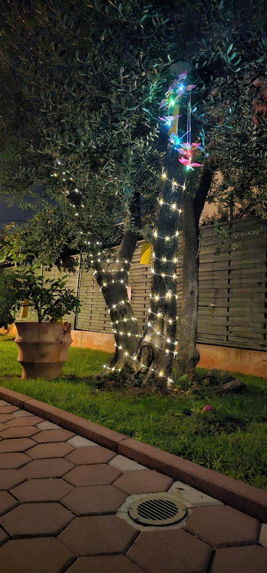 Vila Tena Rovinj Croatia Экстерьер фото